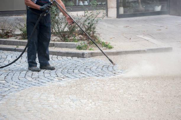 Best Dumpster Area Cleaning  in Florida, NY
