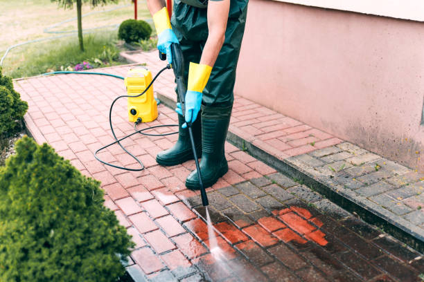 Best Building Exterior Washing  in Florida, NY